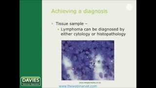 Lymphoma in cats and dogs Which protocol by Shasta Lynch [upl. by Ule163]