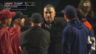 Umpire Hit in the Head and Leaves Game [upl. by Sherl705]