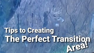 How to Whitetail Transition Areas [upl. by Maer]