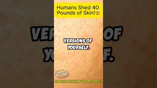 You Shed 40 POUNDS of Skin in Your Lifetime [upl. by Adil]