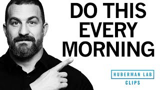 How to Feel Energized amp Sleep Better With One Morning Activity  Dr Andrew Huberman [upl. by Joellen]