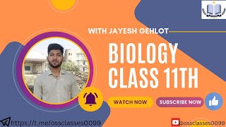 NCERT Class 11th Biology Chapter 2 Kingdom FUNGI  By Jayesh Gehlot sir neet class11biology [upl. by Grider272]