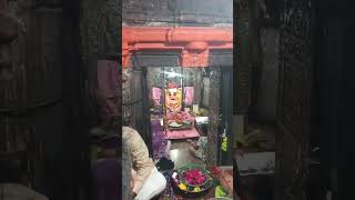 Kal Bhairav live darshan 🙏 kalbhairav viralshort viralreels subscribe tranding mahadev [upl. by Annavoig]