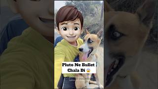 Pluto Ne Bike Chala Di 😱  doglover minivlog [upl. by Aloap]