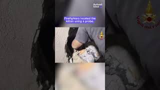 Kitten stuck in pipe cries out to rescuers for help  Humankind Shorts goodnews [upl. by Mulvihill65]