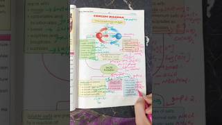 Acidsbases and Salts Formation and types Chemistry Class 10 [upl. by Ellinet]