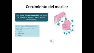 Crecimiento y desarrollo craneofacial [upl. by Kciderf]