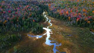 MacLeish Field Station  Fall 2023 IDP 109 [upl. by Enrahs]