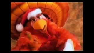 Television Voiceover  Meijer Thanksgiving Commercial 2 [upl. by Annayr]