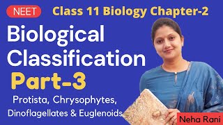 Biological Classification Class 11 Biology Part3 [upl. by Peltier]