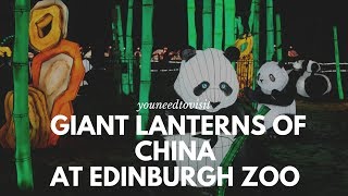 The Giant lanterns china Edinburgh Zoo [upl. by Nylhsoj37]