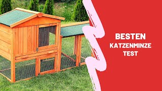 Die Besten Katzenminze Test  Top 5 [upl. by Lebatsirhc]