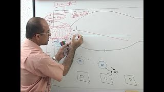 Inflammation  Vascular Events  Immunology  Dr Najeeb [upl. by Symon]