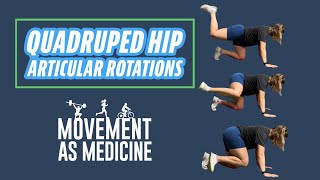 Quadruped Hip Articular Rotations [upl. by Reivad]