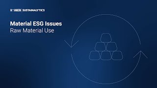 Material ESG Issues Raw Material Use [upl. by Mccreary914]