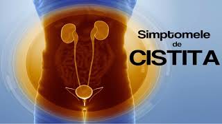 Cum tratam Cistita  Remedii Naturale pentru Cistita  Ceaiuri Extracte Merisoare [upl. by Matheson]