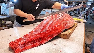 Worlds Sharpest Knife Cut 900 Pounds Giant Bluefin Tuna [upl. by Ebonee]