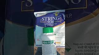 M45 fungicide use  indotop insecticide clothianidin 50wg  combination spray m45 ampindotop [upl. by Donoho940]