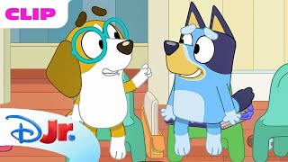 Bluey Season 1 quotDoctorquot Episode Clip  disneyjr x BlueyOfficialChannel [upl. by Oivat]