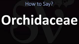 How to Pronounce Orchidaceae CORRECTLY [upl. by Eteragram]