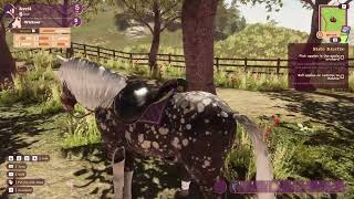 🐴 My Horse Bonded Spirits Gameplay  A New Epic Journey 🐴 [upl. by Normy]