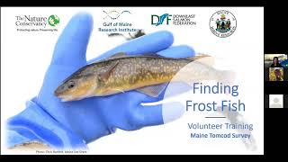 Finding Frost Fish Citizen Science Training December 2020 [upl. by Shulock890]