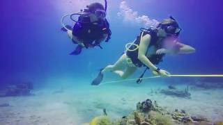 Broadreach  Overview of Marine Biology Summer Trips for Teens [upl. by Jovitah]