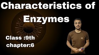 Characteristics Of Enzymes in urdu  Hindi  Class 9th Chapter 6 [upl. by Eisseb]