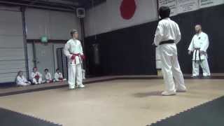 Karate Class Sparring 02012014 [upl. by Rabma616]