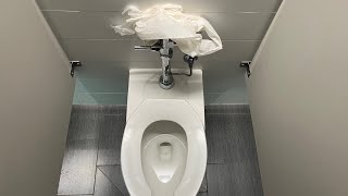 2016 American Standard Afwall Millennium Vs 25 Feet Of 2 Ply TP [upl. by Eidnim]