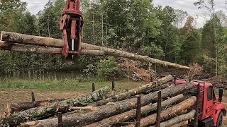 Using Buck Saw on Log Yard [upl. by Hahnke82]