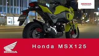 2016 MSX125  125cc Motorcycle  Honda [upl. by Aneda]