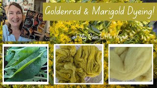 GOLDENROD and MARIGOLD DYEING [upl. by Backler]