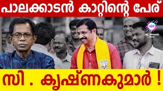 കൃഷ്ണകുമാർ  പാലക്കാടൻ കൊടുങ്കാറ്റ് ABC MALAYALAM  TG MOHANDAS  24MARCH2024 [upl. by Pollard162]