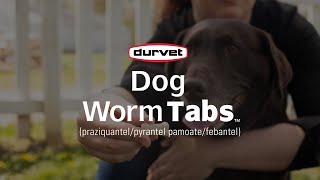 Provide 4Way Protection With Durvet Dog Worm Tabs [upl. by Notnel]