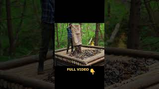 Building a natural dugout shelter Roof bushcraftimprovisation bushcraft [upl. by Redmond]