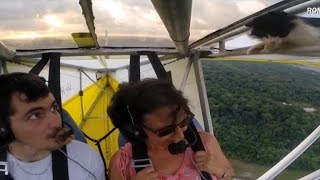 Cat hitches ride on a glider [upl. by Nohsad]