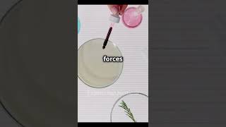 How capillary action actually works shorts nature learning [upl. by Duncan]