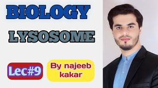 Lysosome  Types structure and function  class 9th biology  By najeeb kakar [upl. by Nimar]