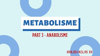 METABOLISME PART 3 ANABOLISME BIOLOGI 12 SMA [upl. by Aisac]