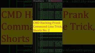 CMD Hacking Prank Command Line Trick Shorts No 02  CMD [upl. by Hamer]