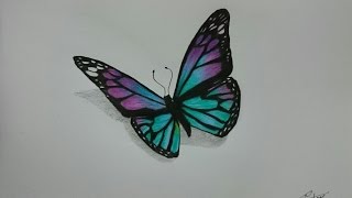 How to Draw a Realistic Butterfly with Colored Pencils [upl. by Ymmik]