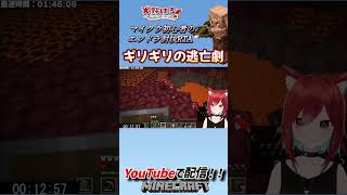 【Minecraft】ピグリンとのおいかけっこw マインクラフト エンドラrta マイクラ初心者 minecraft vtuber エンドラ エンドラ討伐 [upl. by Hermon]