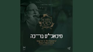 מיכאל׳ס ברכה Live feat Mendy Hershkowitz Band amp The Shira Choir Live [upl. by Oal]