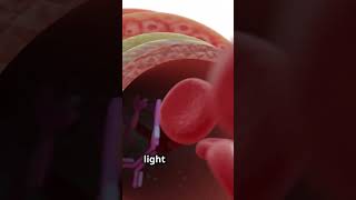 Biomarker Detection Simplified Homogeneous Luminescence Assay biomarkers immunoassay [upl. by Wilson]