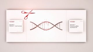 Next level CRISPR editing Cas9 RNP [upl. by Ynned]