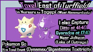 Pokemon Sword How to get Toxel [upl. by Calysta]