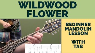 Wildwood Flower Traditional Mandolin Cover Lesson in G with ChordsLyrics [upl. by Hubble]