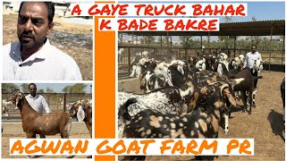 A GAYE BADE BAKRE TRUCK BHAR K AGWAN GOAT FARM PR BHIWANDI PADGHA msqvlogs5186 [upl. by Gudrin599]