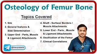 Osteology of Femur Bone  Osteology MBBS 1st year 🦴🦴🦴 [upl. by Lisandra]